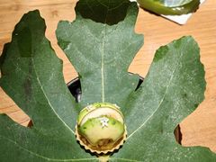 -天水蔬食料理(树德之光店)