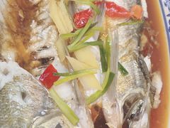 -老马家·舌尖上的西塘美食