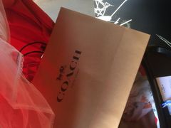 -COACH蔻驰(百联奥特莱斯广场店)