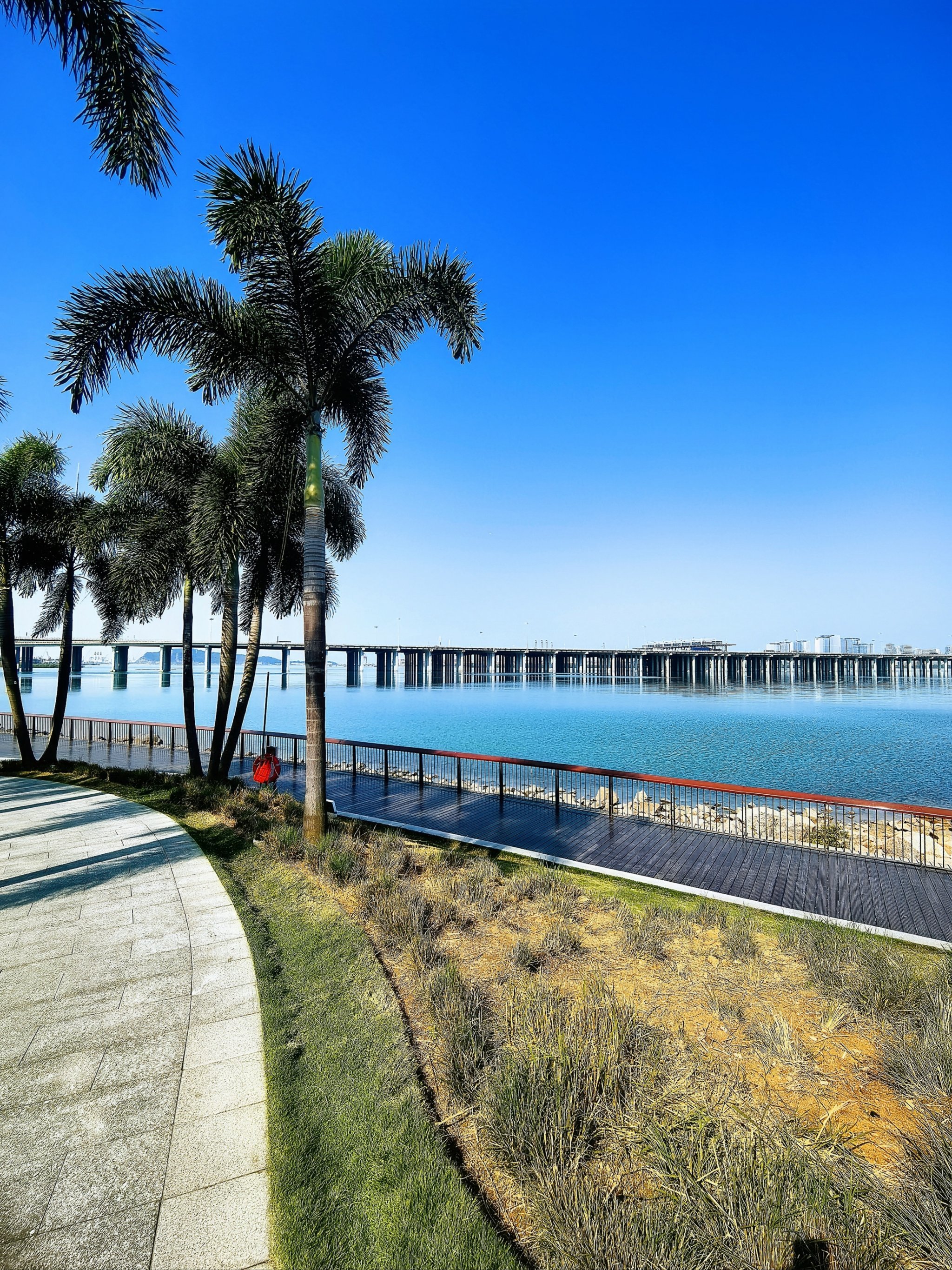 🌸春光正好🌸来前海石公园👀躺平鸭🦆