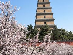 -大雁塔北广场音乐喷泉