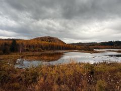 -五营红松林海景区