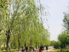 -武清南湖绿博园