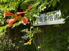 -斯多格书乡(北京大学畅春园店)