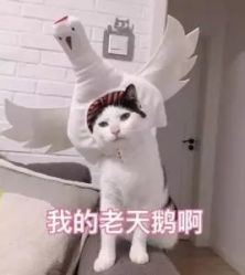 -匠之美甲美睫