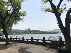-杭州西湖柳莺里酒店