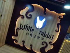 -白兔子密室(长寿路店)