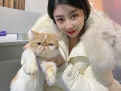 -极木²邸 人与宠物·互动社区