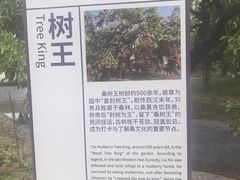 -御林古桑园
