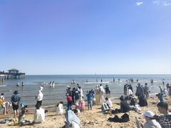 -冲浪熊西餐厅(南戴河店)