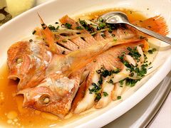 -骏莱海鲜鱼港(五角场店)