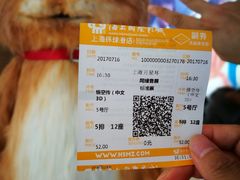 -AMG海上明珠影城(上海环球港RealDCinema店)