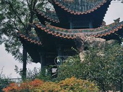 -碑林公园