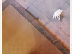 -麦当劳(欧亚大观商都店)