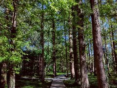 -国家植物园南园