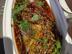 -百味地锅鸡(二店·财校分店)