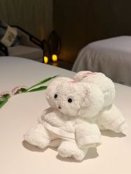 -VELEE·SPA高定疗愈会所