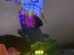 -珠海长隆海洋王国
