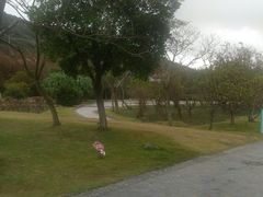 -乌石塘景区
