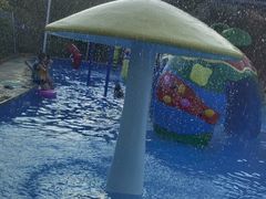 -杭州浪浪浪水公园