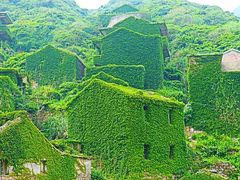 -枸杞岛