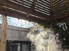 -春晖园度假酒店温泉