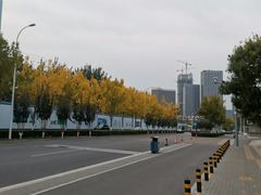 景点-西海子公园