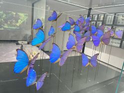 -酷嗒动物文化乐园(cutezoo西溪乐天城店)