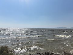 -呈贡滇池生态湿地公园