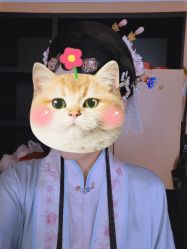 -盘子女人坊生日照·摄影馆(浦东店)