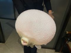 -鲐赏河豚(长寿店)