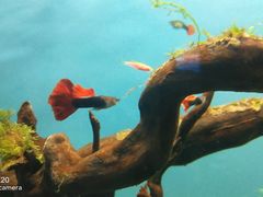 -多彩贵州城极地海洋世界