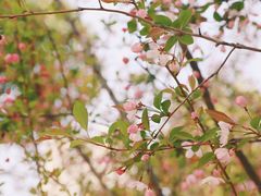 -南京市江宁方山