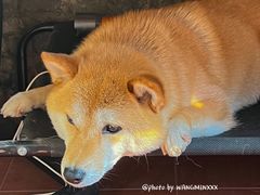 -About Bistro關於·泰式家庭料理