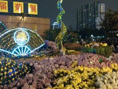 android_upload_pic-西北湖绿化广场