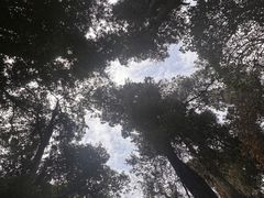-金堂县云顶石城风景区