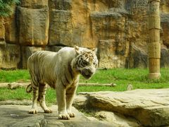 -杭州野生动物世界