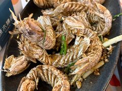 -阿尔法海鲜排档(爱琴海店)