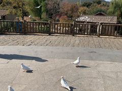 -无锡动物园·太湖欢乐园