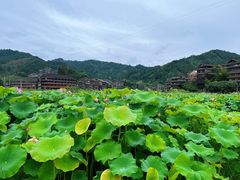 -程阳八寨景区