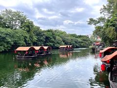 -侨美·唐荔园·40年地道粤菜