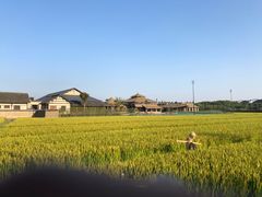-乌村