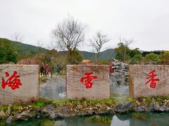 -香雪海