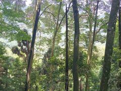 -青城山