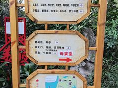 -汇龙潭