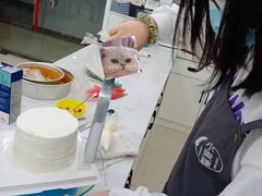 -小麦穗私人订制蛋糕·甜品台(万达店)