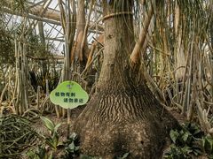 -南山植物园