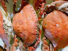 -胖大嫂渔家排档·全海景餐厅(渔村店)