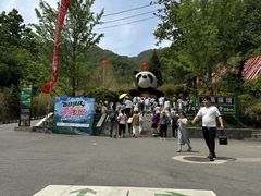 -栾川竹海野生动物园