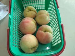 -南汇老顾农家乐采摘大团水蜜桃采摘店